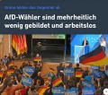 afd wähler